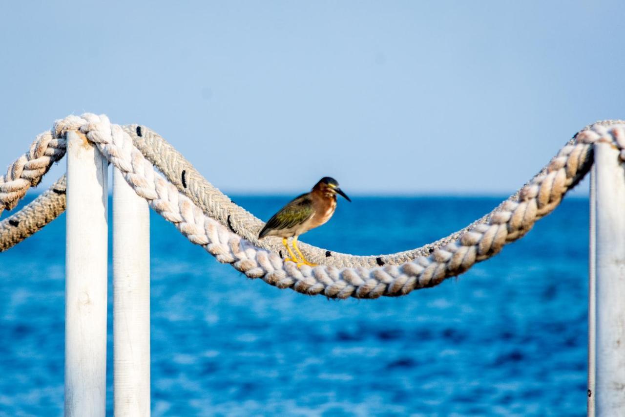 Tintipan Hotel Tintipan Island Εξωτερικό φωτογραφία